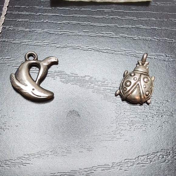 Small Lot Of Charms Charm Bracelet And 925 Necklaces - Picture 4 of 7